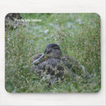 Photo by John Tammaro mousepads by NU_Husky_91 Photo by John Tammaro mousepads