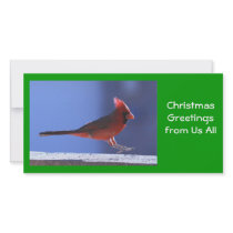 Photo Card: Cardinal Landing
