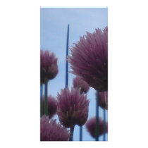 Photo Card - Chives    Image 1