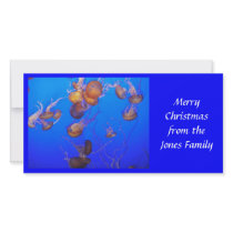 Photo Card: Gold Jellies