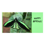 Photo Card: Green Butterfly