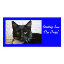 Photo Card: Lilly the Cat