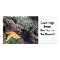 Photo Card:  Starfish