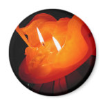 Photo:CHG Magnet