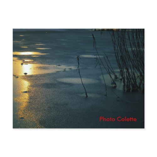 Photo Colette postcard