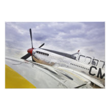 Photo Enlargment of P51 Mustang