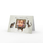 Photo Father's Day card with playful cats