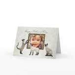 Photo Father's Day card with siamese cats