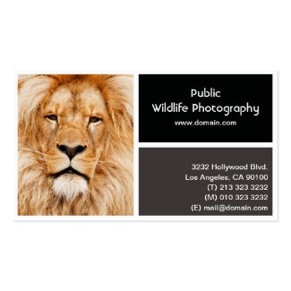 Photo Frame Photography Photographer Business Card