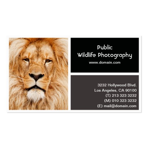 Photo Frame Photography Photographer Business Card (back side)