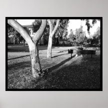 photo IV portfolio #5 Posters