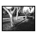 photo IV portfolio #5 posters by ravig photo IV portfolio #5 posters