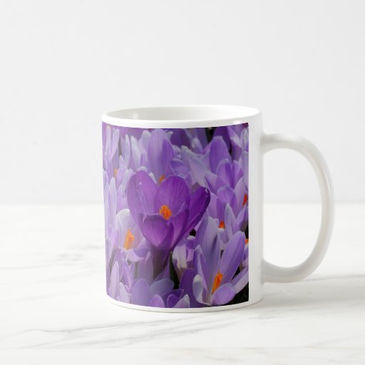 Photo Mug With Pictures of Spring Crocus Flowers