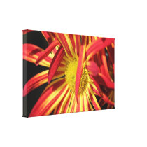 Photo Mums Canvas Prints