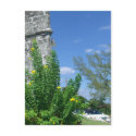 Photo, Nassau, Bahamas postcards by loveinvented Photo, Nassau, Bahamas postcards