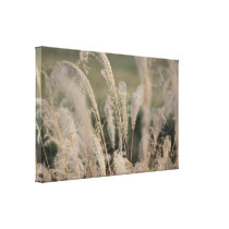 Photo Nature Gallery Wrap Canvas