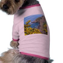 Photo Of The Coast In Jersey pet clothing by lifesphere Photo Of The Coast In Jersey pet clothing