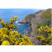 Photo Of The Coast In Jersey photo sculptures by lifesphere Photo Of The Coast In Jersey photo sculptures
