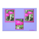 Photo on Canvas - Pink Flowers Canvas Print