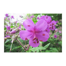 Photo on Canvas - Pink Flowers Gallery Wrap Canvas