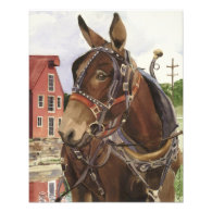 Photo poster, mule