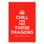 [Crown] chill and hide those dragons  Photo Prints