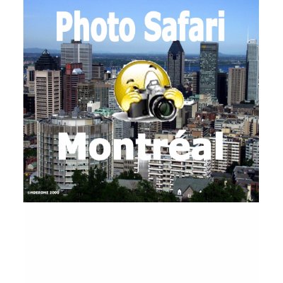 Photo Safari Montreal apparel Shirts by mderome