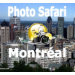 Ladies Baby Doll (Fitted)