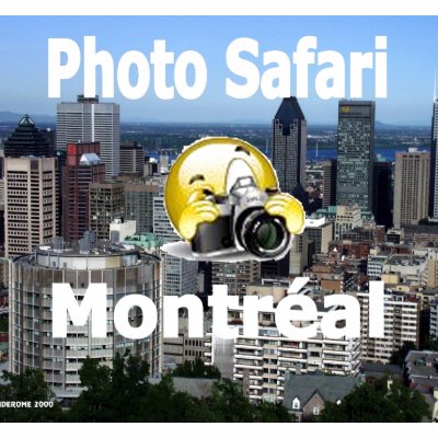Photo safari Montreal official wear Polo Shirt by mderome