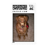 Photo Slide Show 058 postage