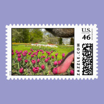 Photo That Makes You Go, Huh?/Thru The Dogs Mouth stamps