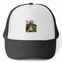 Photo Trucker Hat
