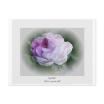 PhotoArt17 postcards