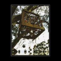 PhotoArt @ Rainbow Serpent ' Postcard postcards