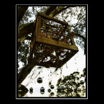 PhotoArt @ Rainbow Serpent ' Postcard postcards
