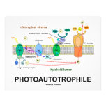 Photoautrophile (Photosynthesis) Letterhead Design