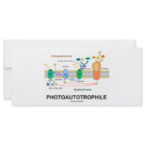 Photoautrophile (Photosynthesis) rack cards by wordsunwords Photoautrophile (Photosynthesis) rack cards