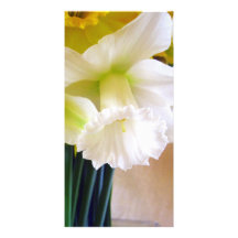 Photocard blanco del narciso tarjetas fotograficas 