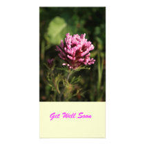 Photocard - Wildflower
