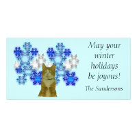 Photocard - Winter holidays with cat Photo Cards