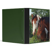 Photograph Horse Binders