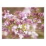 Photograph of Spring Lilac Blossoms
