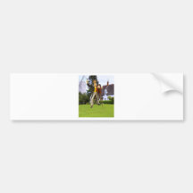 Photographer at work bumper stickers