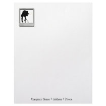 Photographer Letterhead