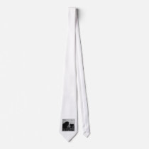 Photographer Neckties