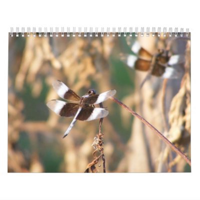 Photographic Images Calendar by SuanSilverTree