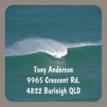 photography address labels stickers