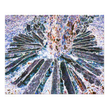 Photography Art Prints Abstract Nature Artwork
