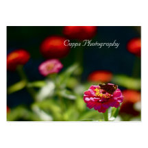 Photography Business Cards