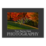 Photography Business Cards Template business cards